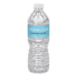 TRUE CLEAR Purified Bottled Water, 16.9 oz Bottle, 24 Bottles/Carton