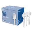 PERK Mediumweight Plastic Cutlery, Teaspoon, White, 300/Pack