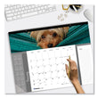 Pets Collection Monthly Desk Pad, Puppies Photography, 22 x 17, Black Binding, Clear Corners, 12-Month (Jan to Dec): 2024