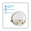 DIXIE FOOD SERVICE Pathways Soak-Proof Shield Mediumweight Paper Plates, WiseSize, 6.88" dia, Green/Burgundy, 125/Pack